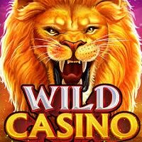 Wild Casino Games for Windows