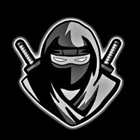 Download Delta Executor APK Latest Version Free for Android