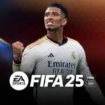 FIFA 25 App