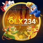 OLX234 App