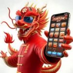 Panen77 App