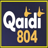 Qaidi 804 Game App Review: A Complete Guide to Playing & Winning Real Money